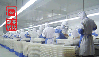 食品包裝凈化車間結構.gif 食品包裝凈化車間結構.gif